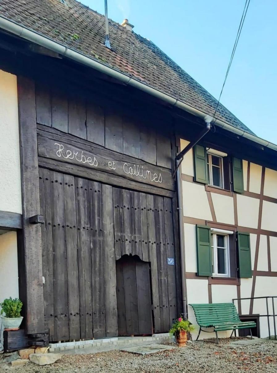 Herbes Et Collines Winkel Екстер'єр фото